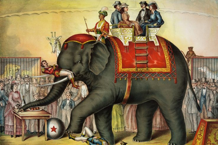 Vintage elephant drawing